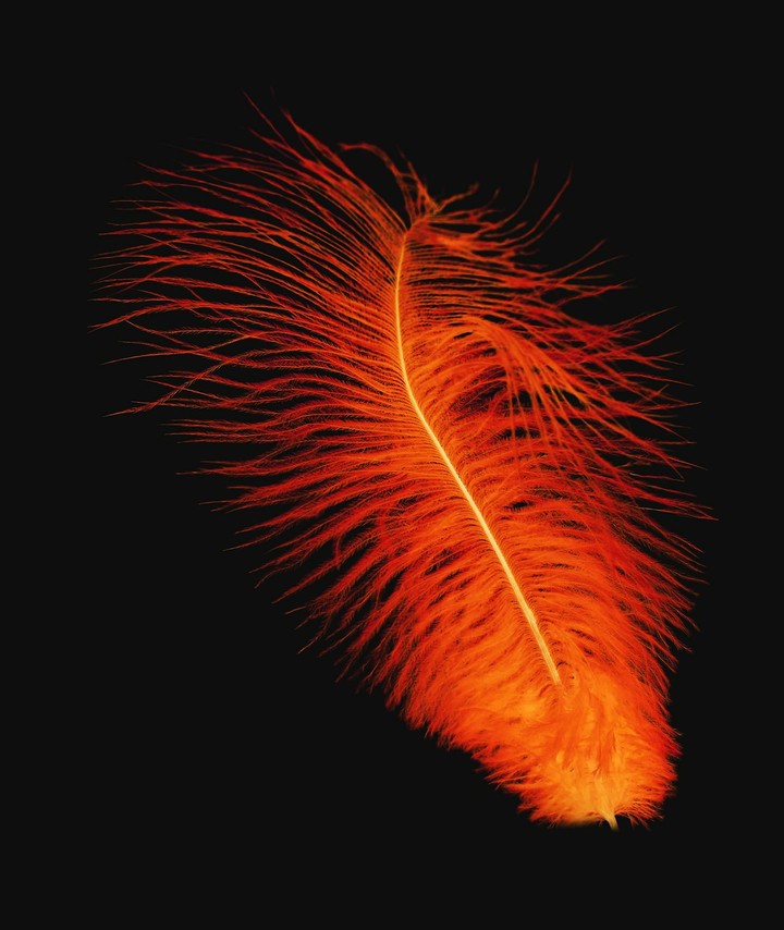 A.R