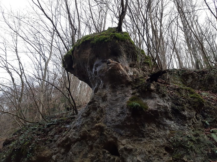 The Rock