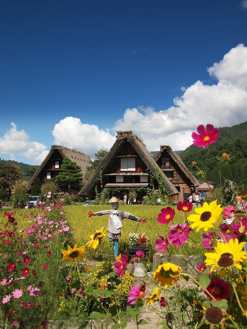 traditional thatched-roof homes, Shirakawa-go