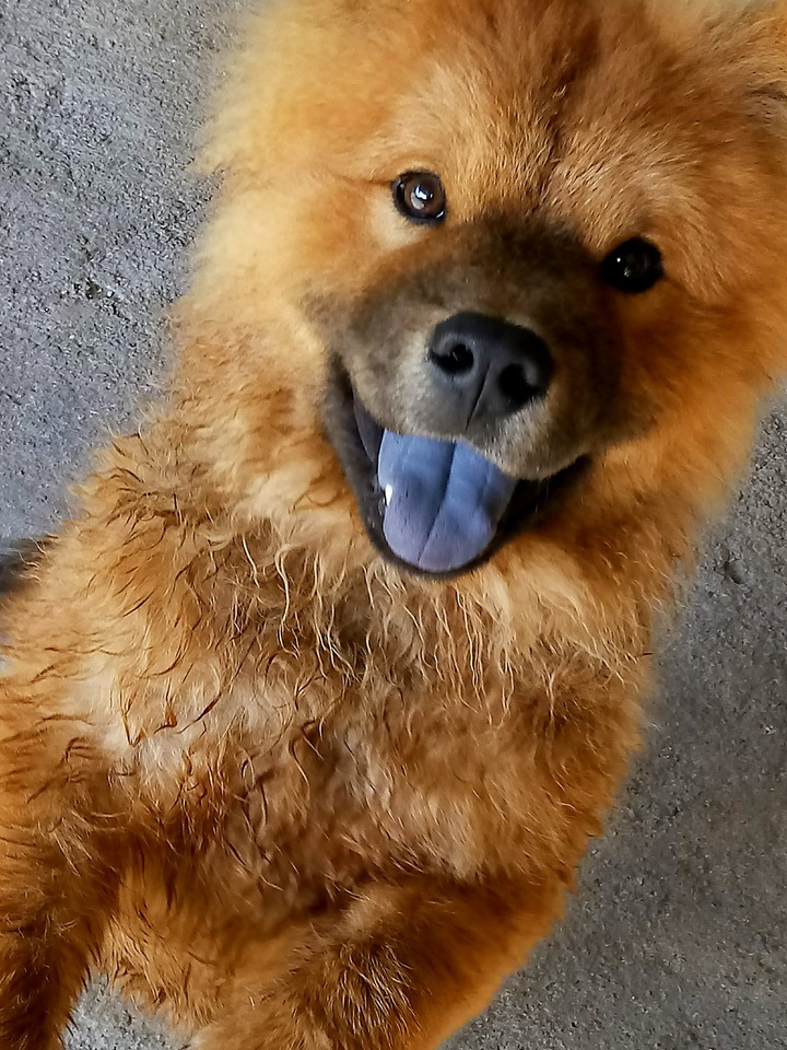 my Love 