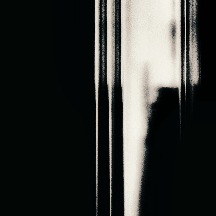 wt