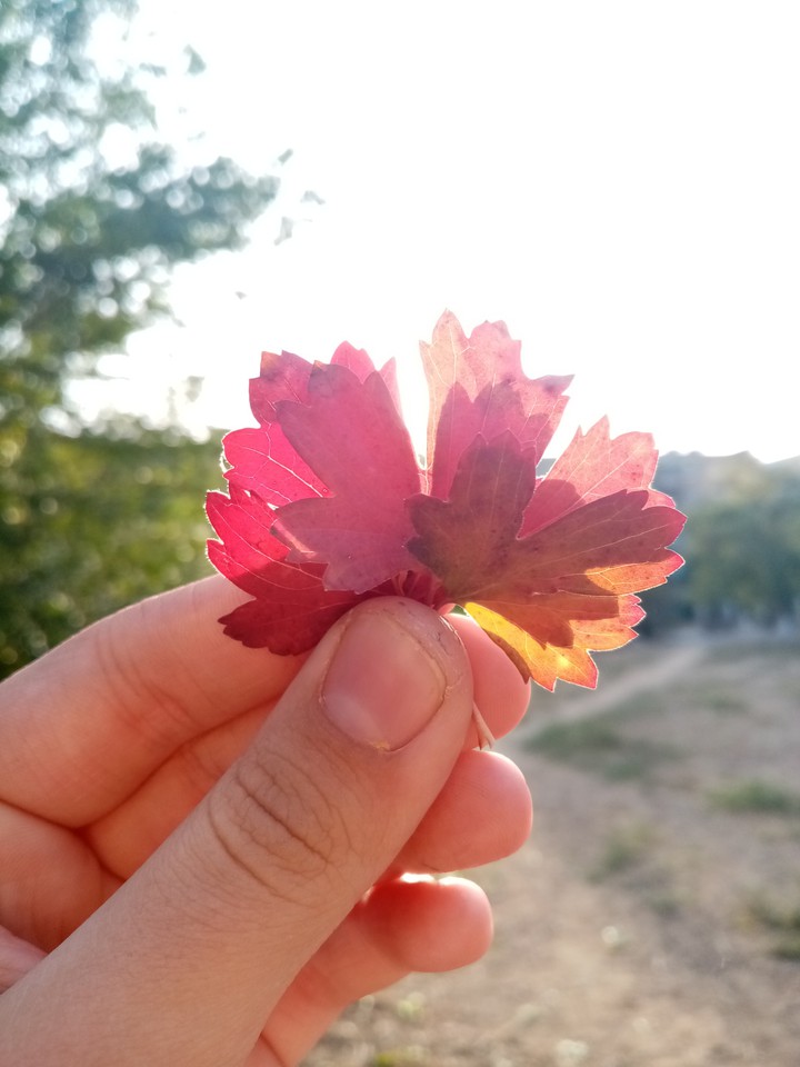 сентябрь