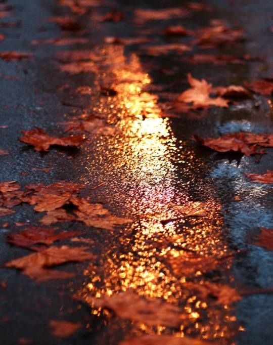 Autumn slpendour