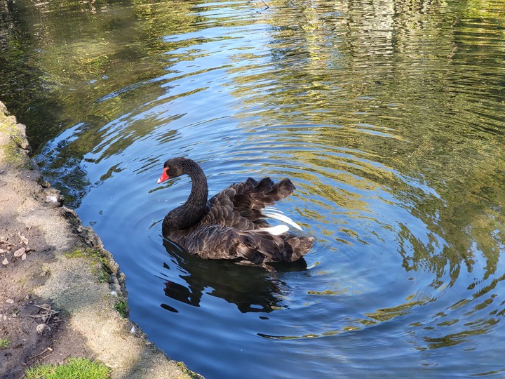 Western Springs Lakeside Park Auckland New Zealand 18/09/21