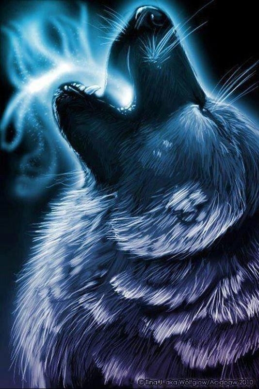 wolf