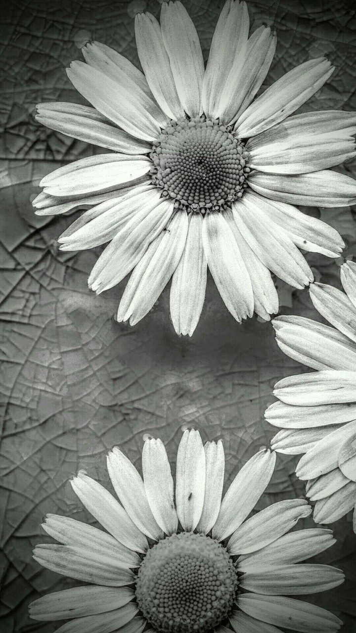 past memories...