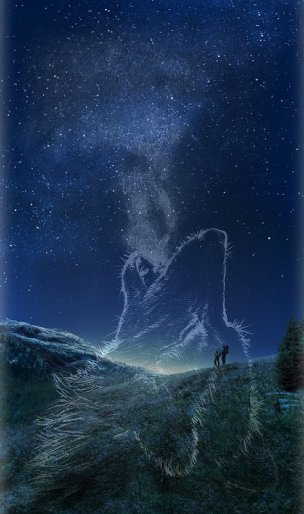 wolf