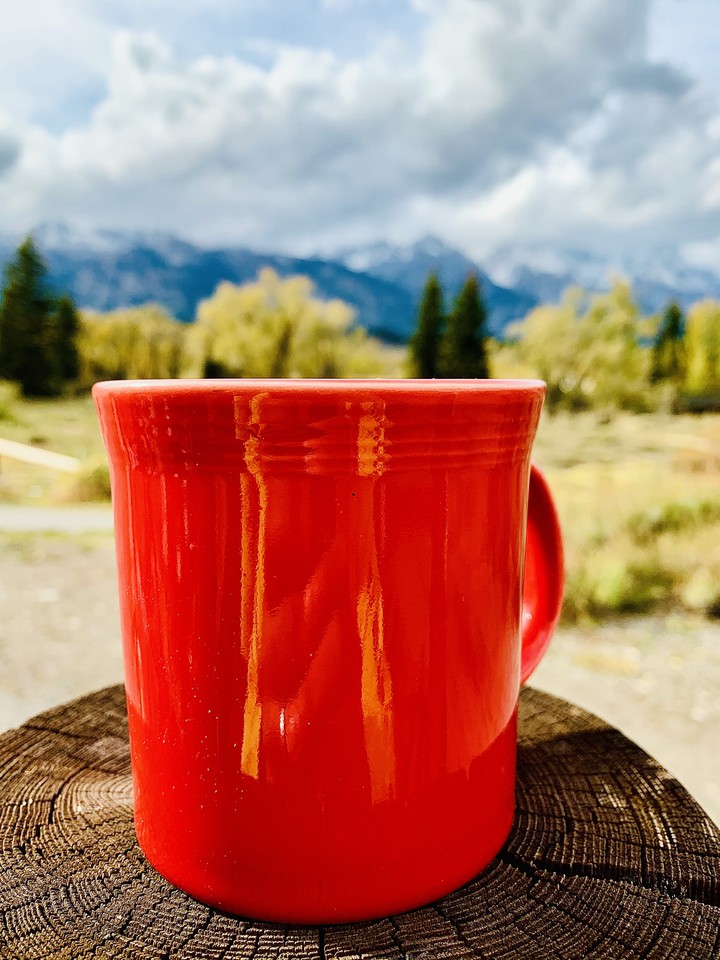 Cup of Tea