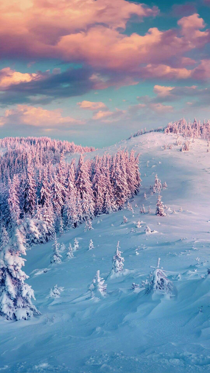 winter