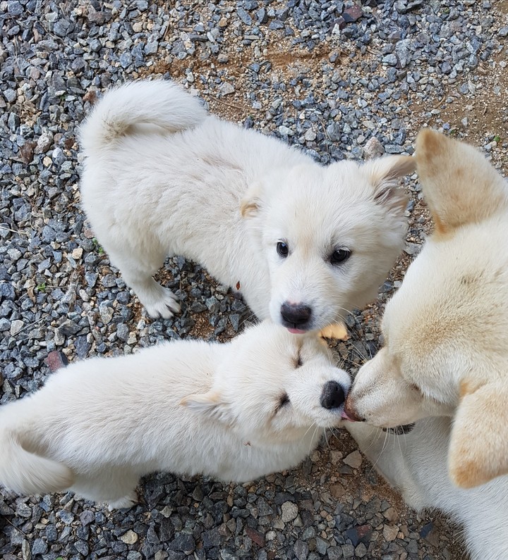 놀자구요