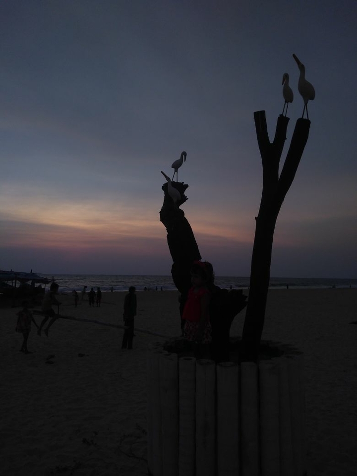 Birds on Tree..