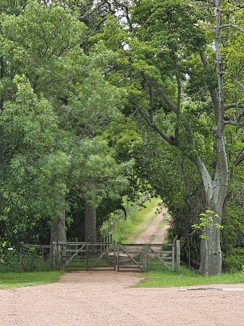 landscape, trunk achtergronden
