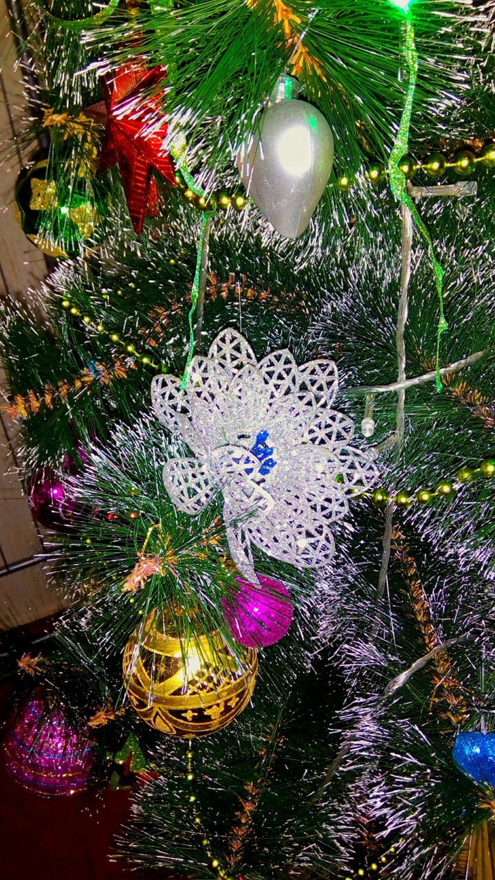 tree