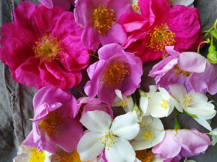 summer blossom