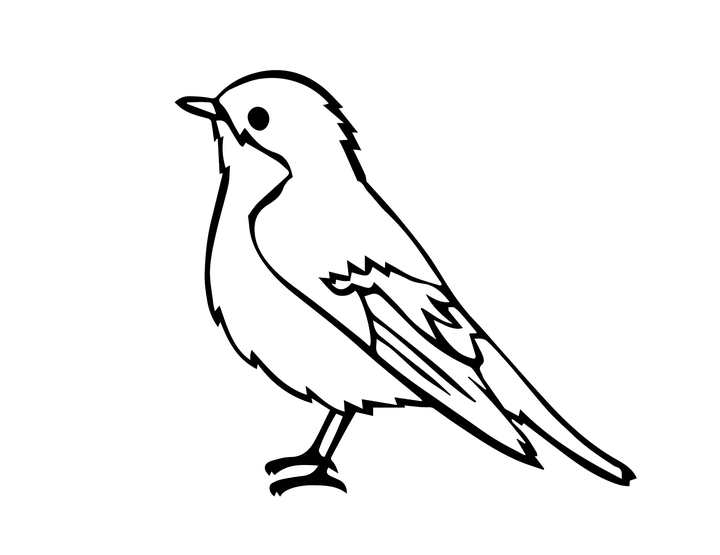 vogel