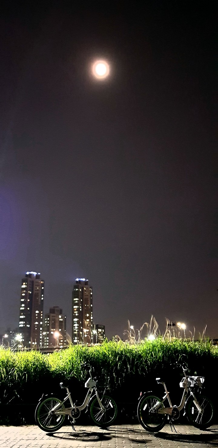 밤풍경