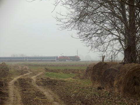 Little Train