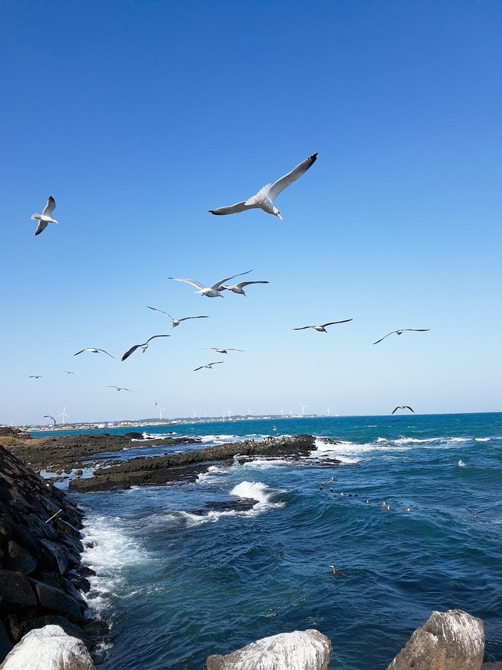 겨울 제주도