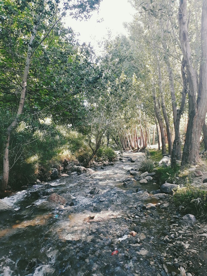 nature