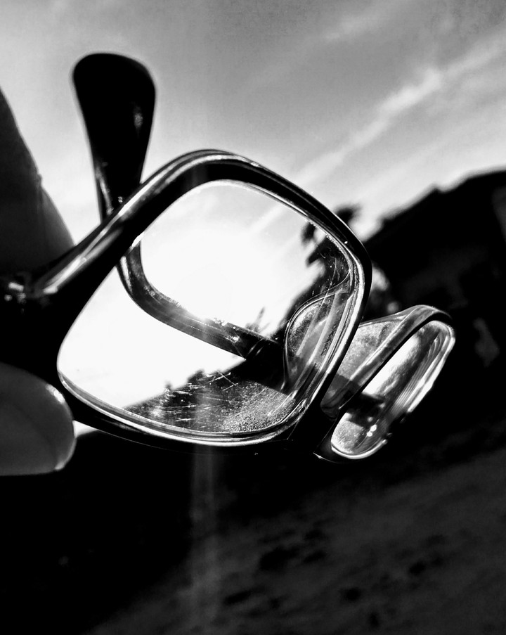 spec's black and white