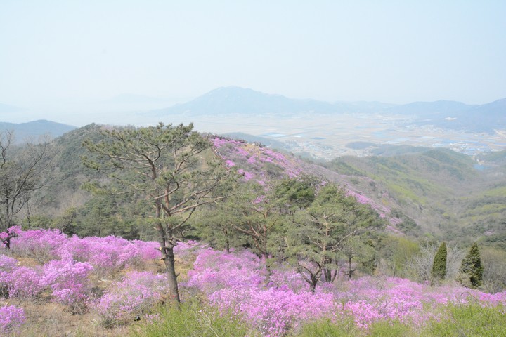 풍경이미지