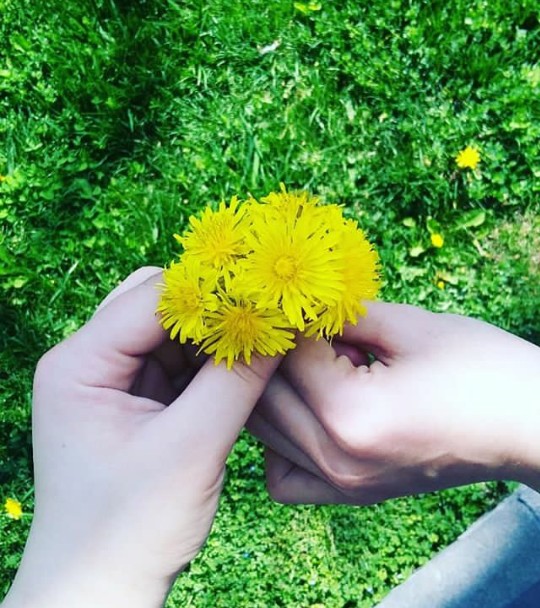 @sevincagayeva