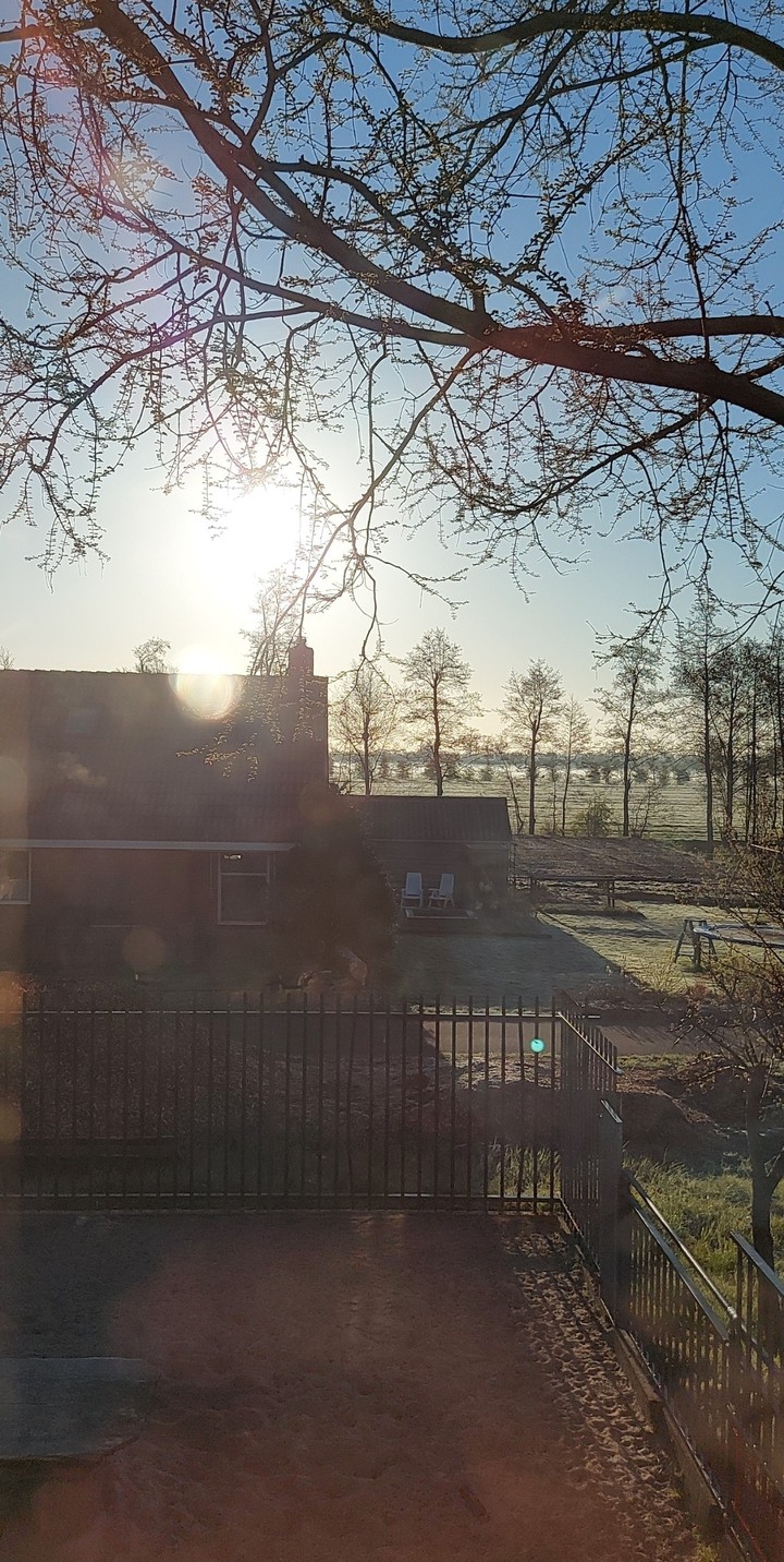 in the early morning
