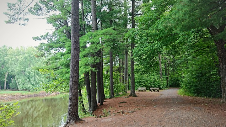 Path by the creek