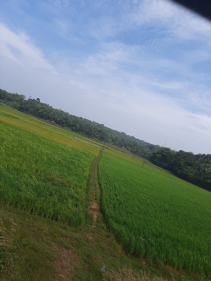 kerala