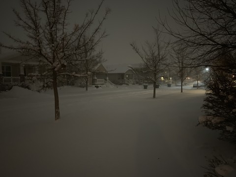 Utah Snow