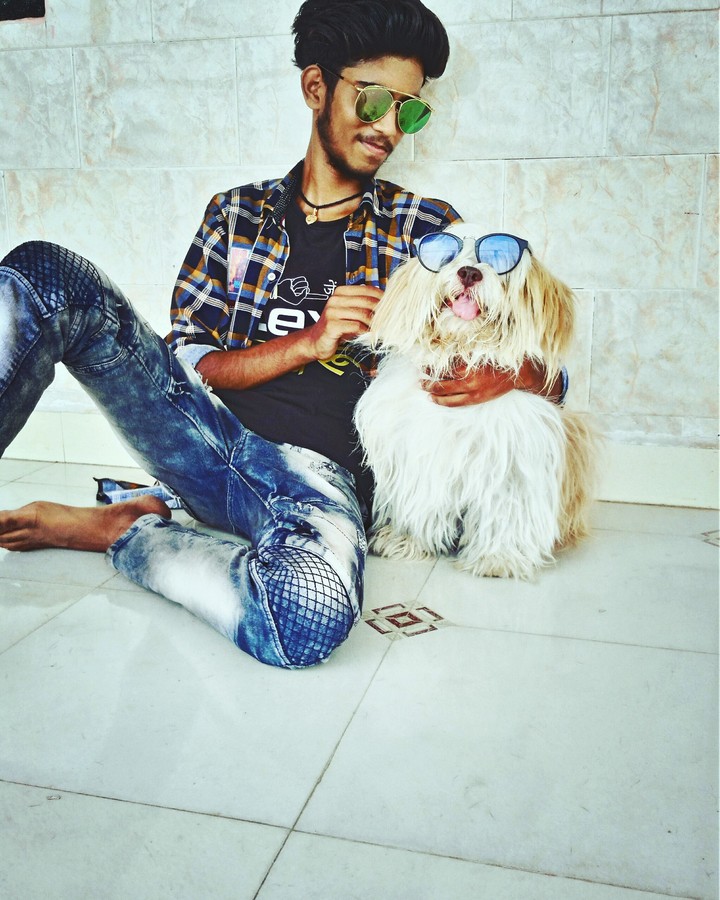 dog pictures
