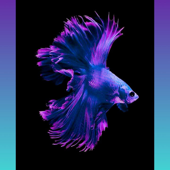 nice wallpaper