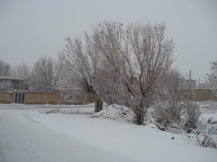 buin