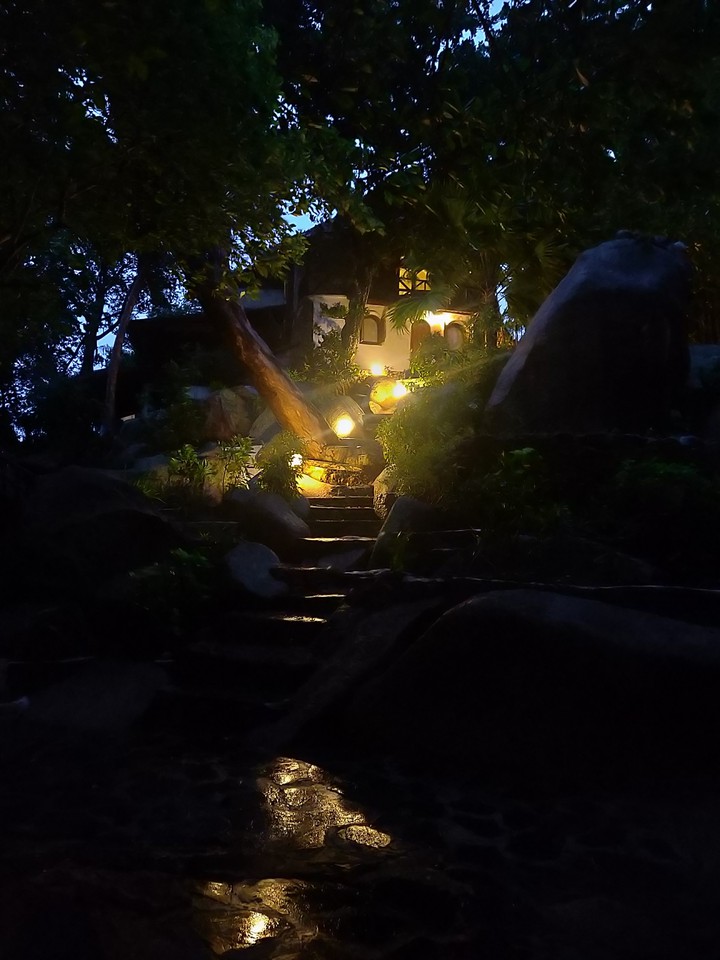 Rainy night
