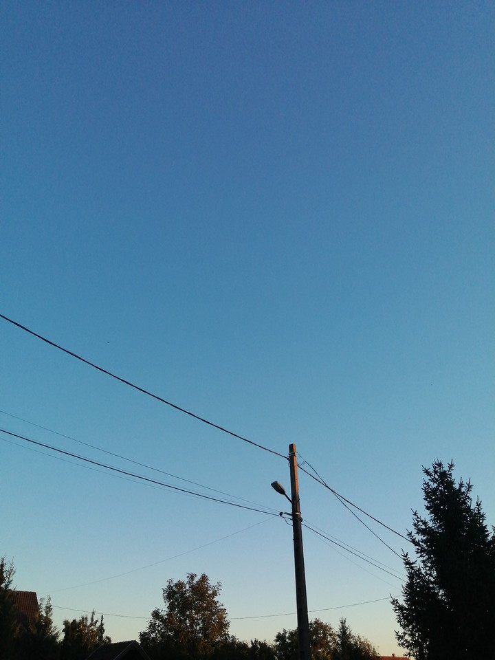 morning.