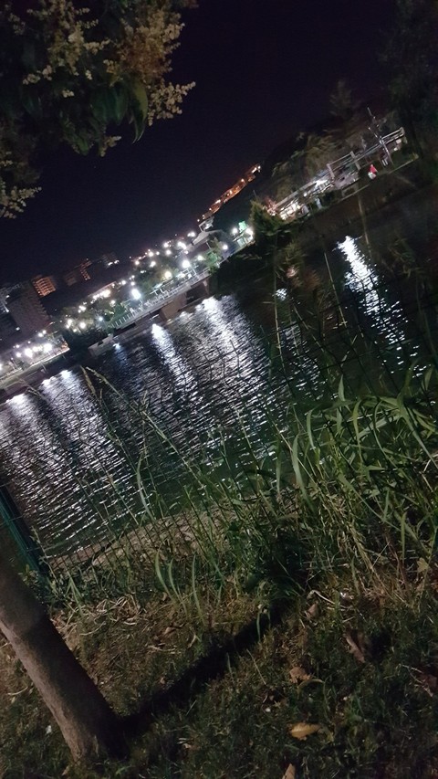 Gaziantep Yeşilvadi Park