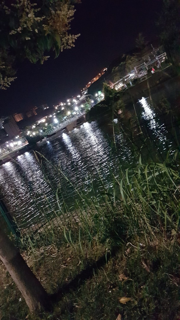 Gaziantep Yeşilvadi Park