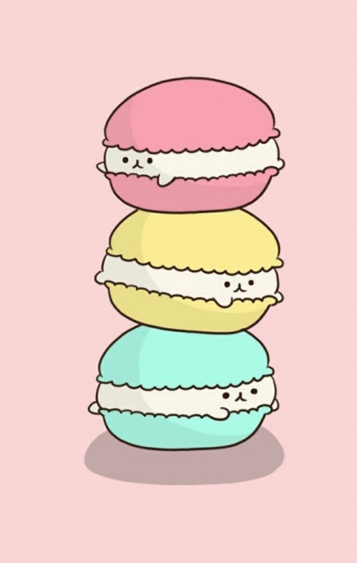 macarons !!! 