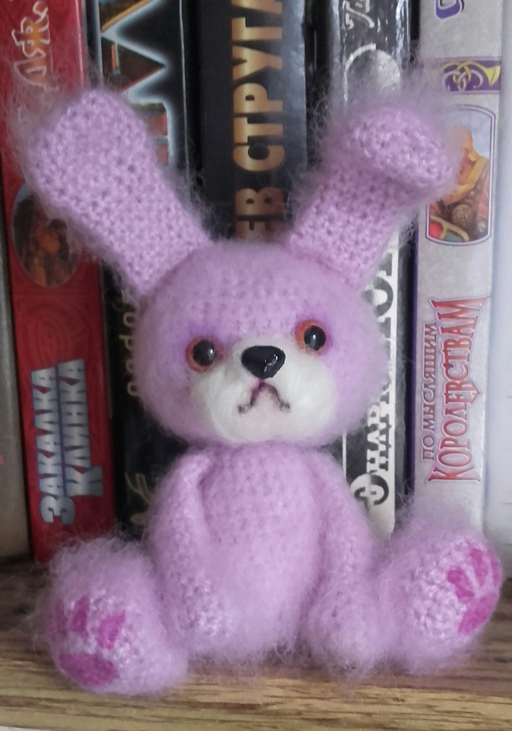 Cute bunny