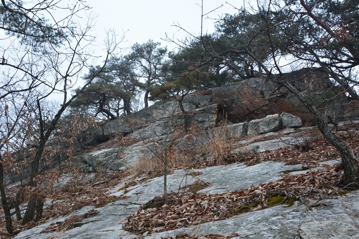 풍경이미지