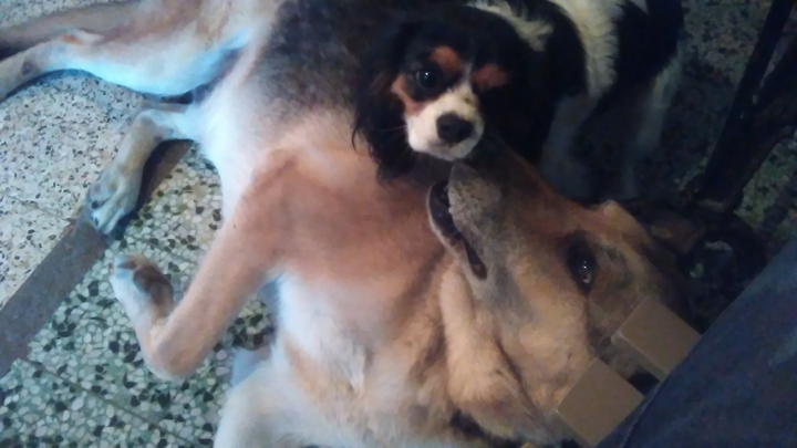tendresse