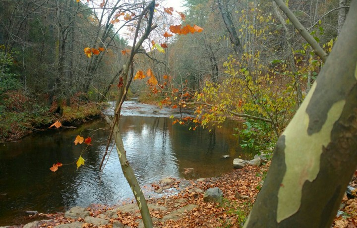Autumn River