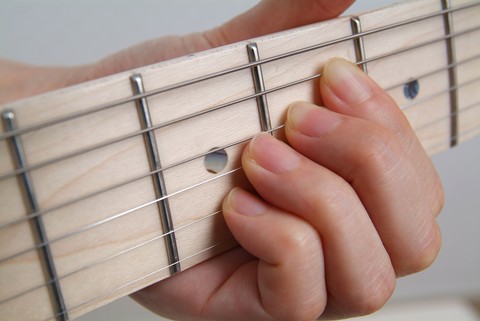Musical Instrument