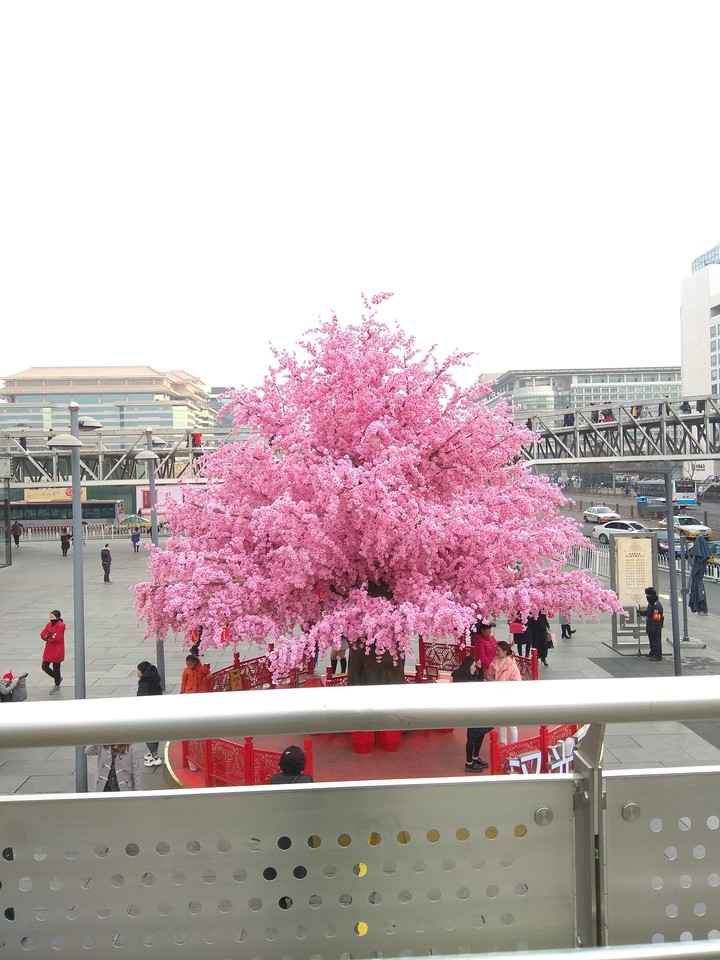 at Xidan Street