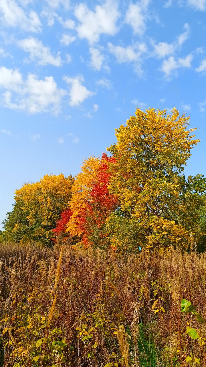 love autumn?