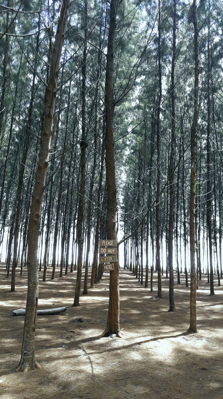 go nature