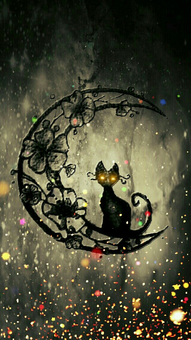 Moon cat