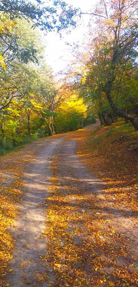 autumn in the Lori region