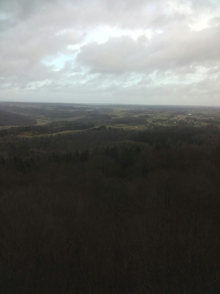 widok