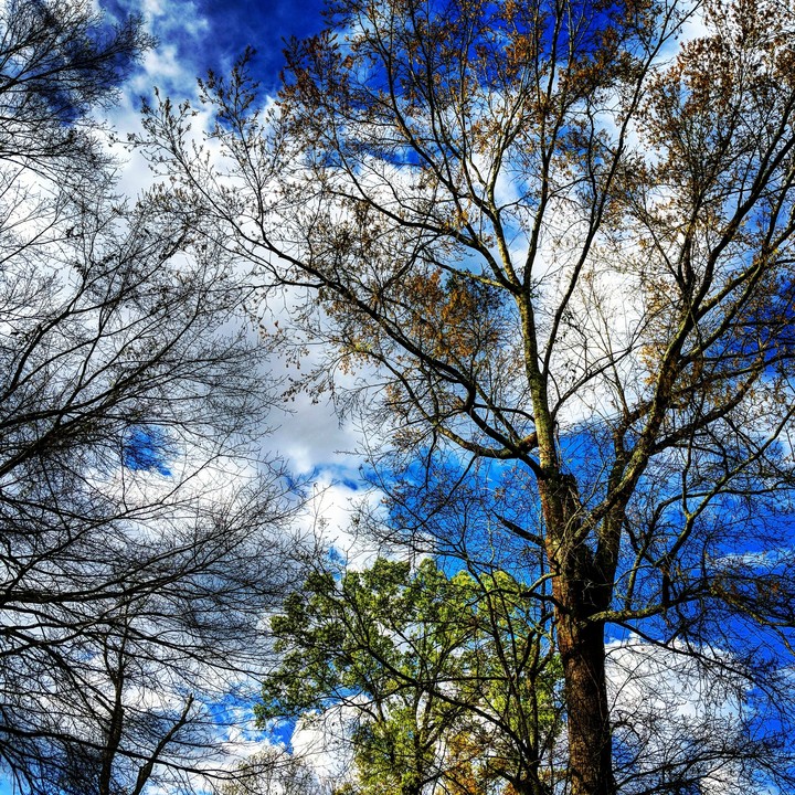 Skyview